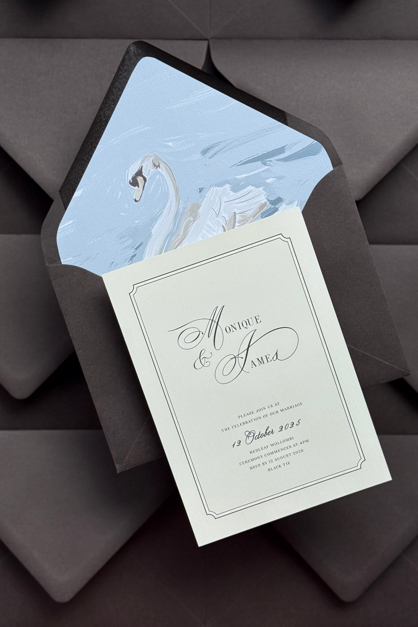 Swan Lake Envelope Liner Template