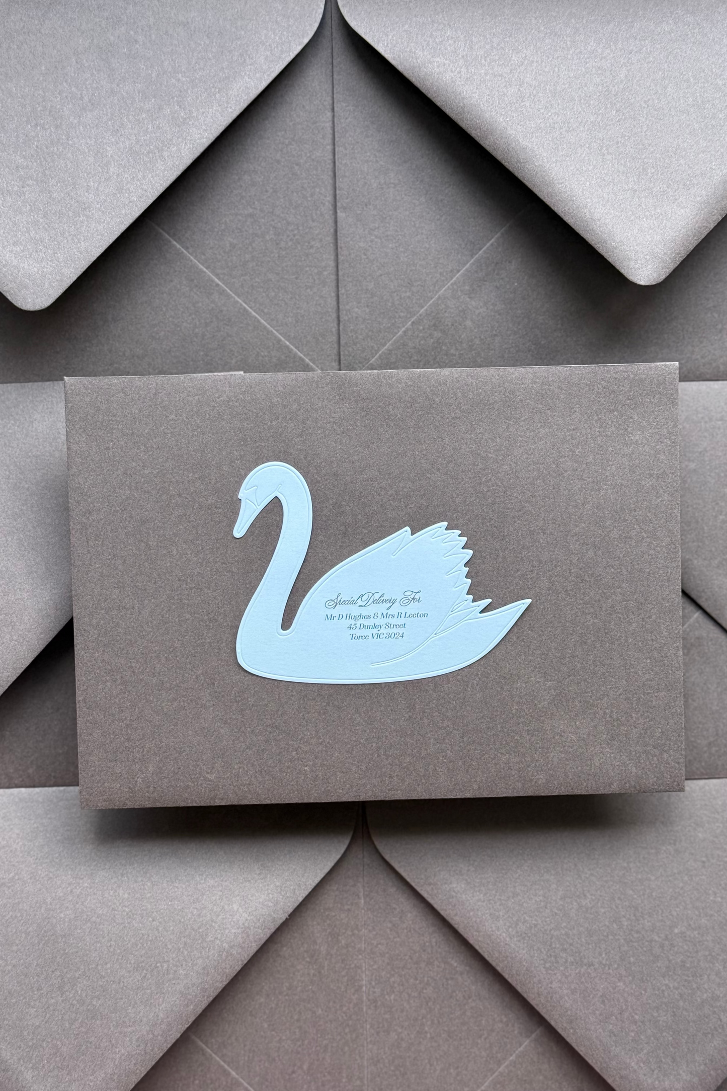 Swan Address Label Template