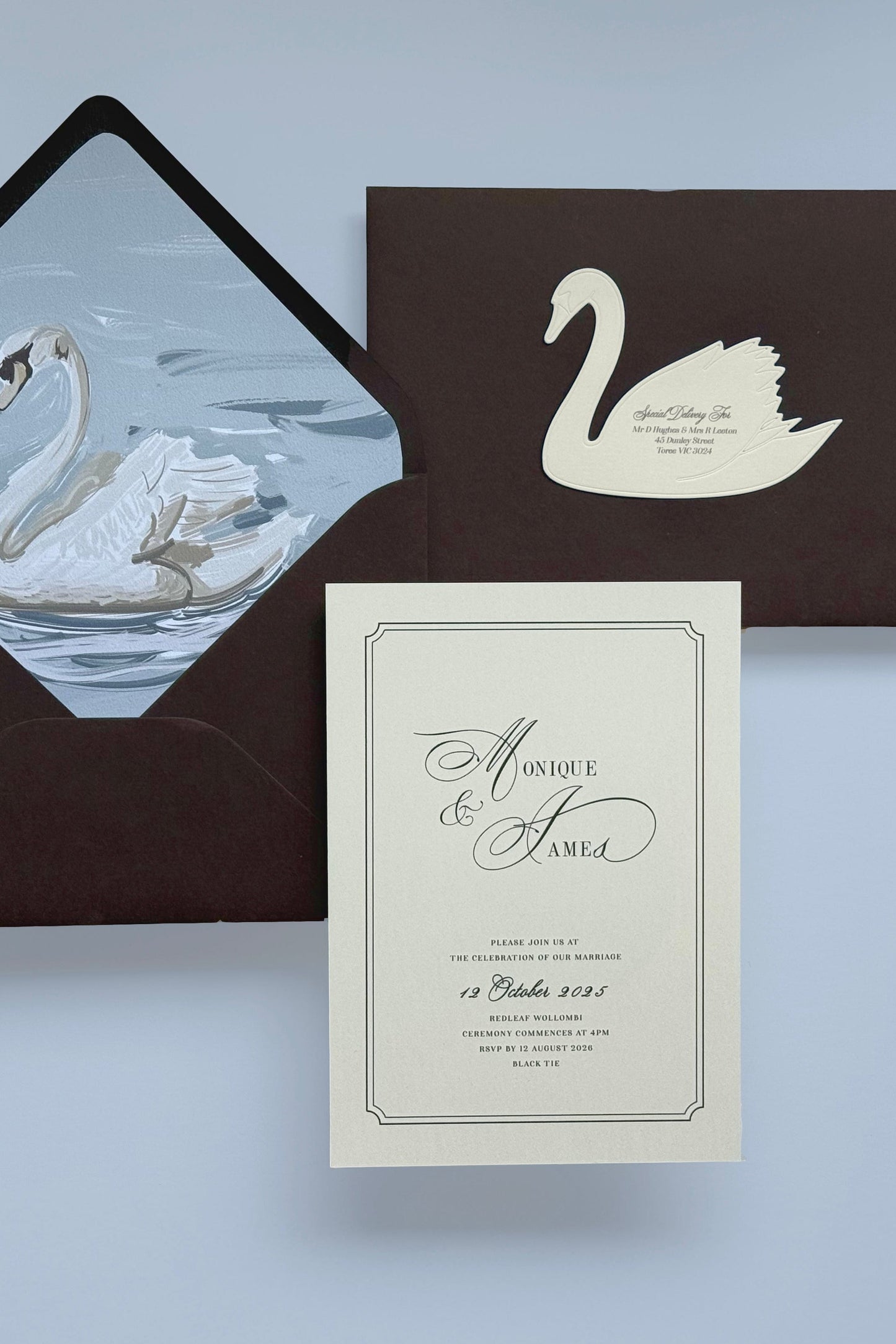 Swan Lake Invitation Template